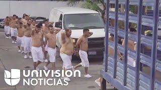 Watch Inocentes El Salvador video