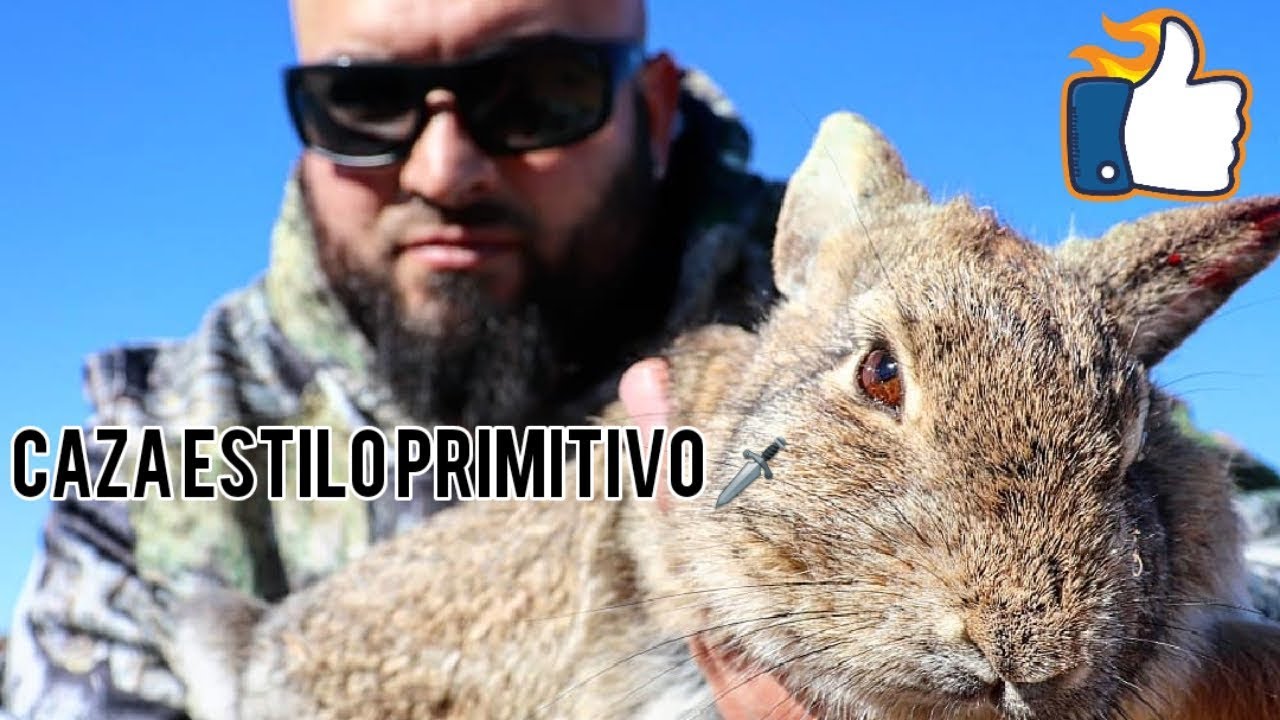 Caza de Conejo salvaje con Escopeta Y ARPON YouTube Caza de Conejo salvaje con Escopeta Y ARPON YouTube