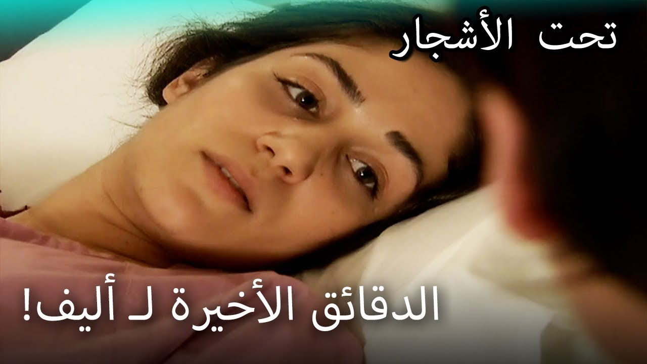 فقدت أليف حياتها! - القسم الخاص تحت الزيزفون