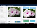 change contrast of image - imageonline.co