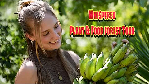 ASMR whispered TOUR at Sow Exotic rare fruiting & medicinal plant nursery!🥑🍌🍊🍍🍇🥭