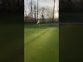 Easy Game. #golf #golfswing #golfer #viral #lofi