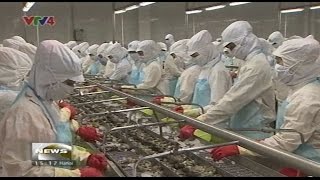 Climate change adaption shrimp farm model implemented - Source VTV4