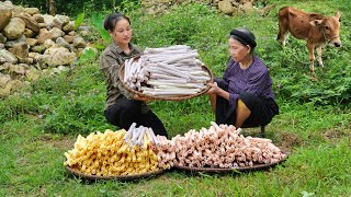 Process of making 3color popcorn Goes to market sell | Taking care of pets | Lý Phúc An