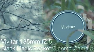 vivitar 135mm f2 5 daylight footage bmpcc