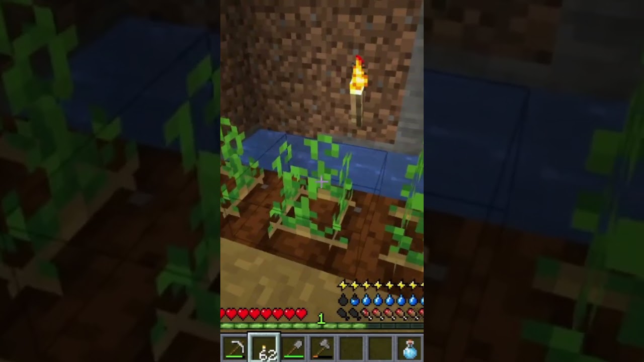 Another beautiful day on my 