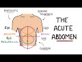 Acute Abdomen - A Guide to Acute Abdominal Pain