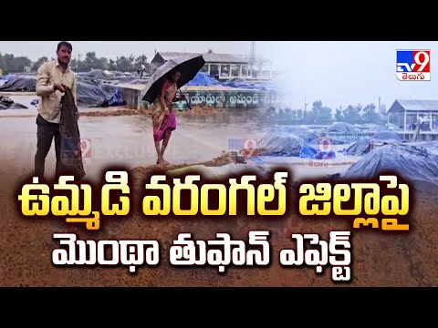 Cyclone Montha Effect in Telangana : ఉమ్మడి వరంగల్ జిల్లాపై మొంథా తుఫాన్ ఎఫెక్ట్ - TV9 - TV9