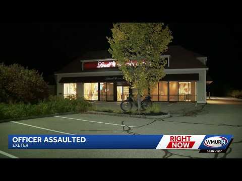 Police officer assaulted while investigating hit-and-run, police say