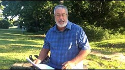 How To Start A Tree Service Business-Tree Trimming Business