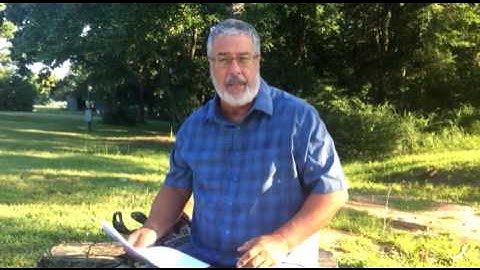 How To Start A Tree Service Business-Tree Trimming Business