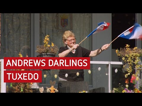 Andrews Darlings - Tuxedo | Alde Steeg, Beuningen