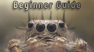 A Beginner’s Guide to Macro Photography