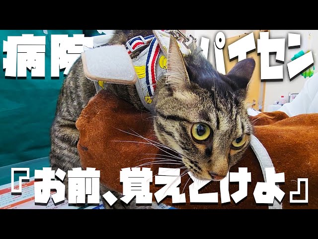 Once a year at the hospital - YouTube