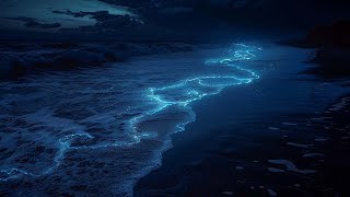 Tranquil Waters | Drift Away With the Soothing Pulse of the Ocean's Never-Ending Flow