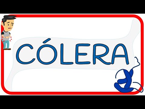 Video: Colera: Sintomi, Diagnosi, Conseguenze E Trattamento Del Colera