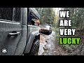 A Perfect Day Camping &amp; Off-Roading in My Jeep Gladiator - Whipsaw Trail 2023