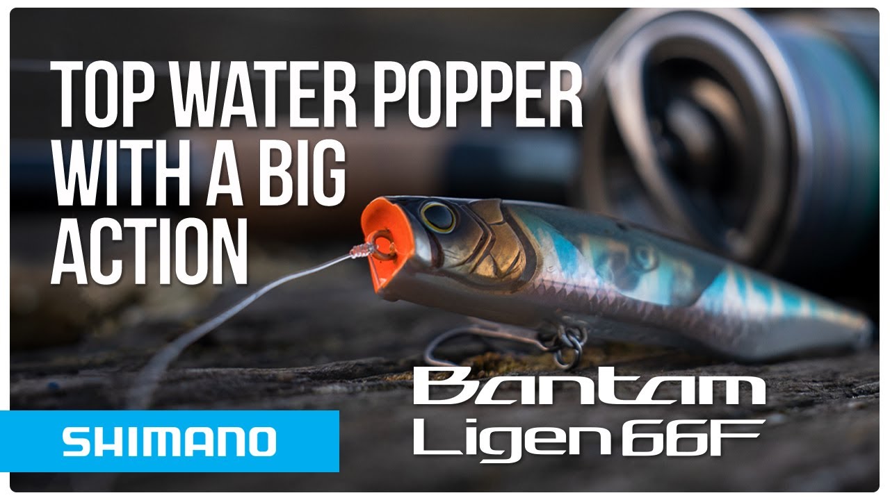 Leurre dur shimano bantam - Sport & Plein air