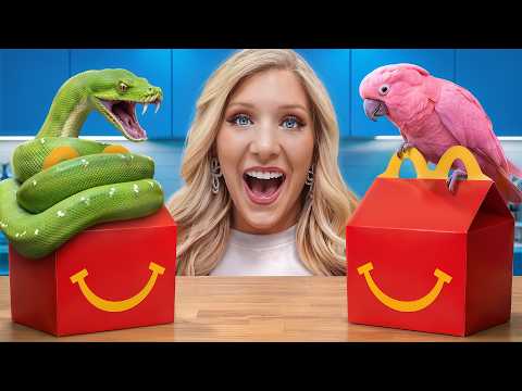 I Made Kids Meals for Every Animal!