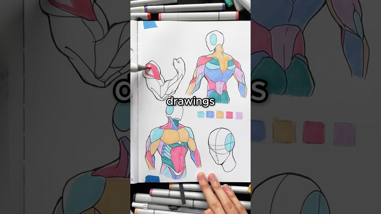 How To Draw ANATOMY Pt 1 Arttutorial