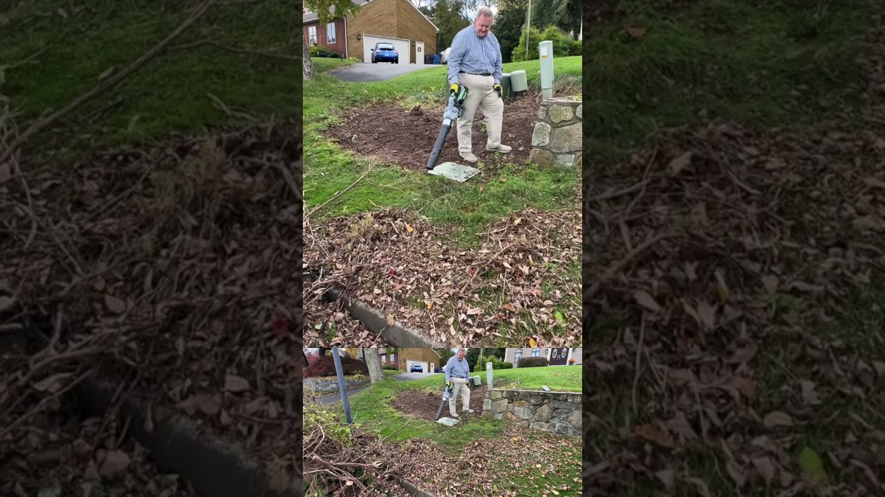 Ego Chainsaw Brush Removal: BEFORE/AFTER Transformation! Garden Cleanup Made EASY