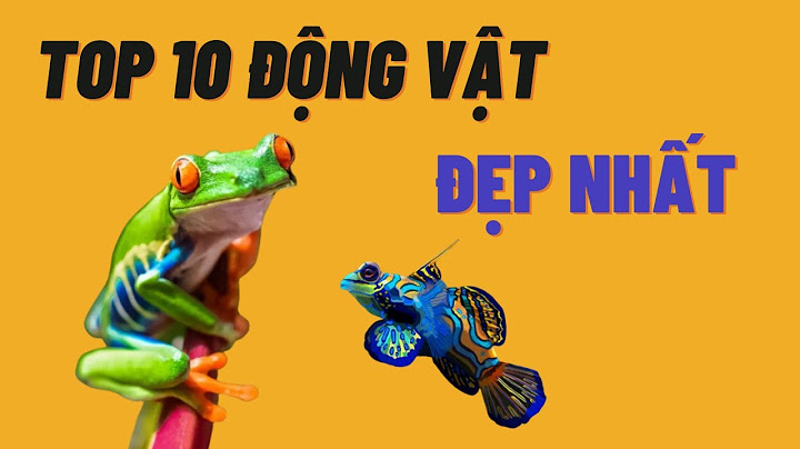 Top 10 dong vat dep nhat the gioi năm 2024