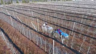 Yalvaç Kumdanlı Köyü Gülbudak Tesisleri