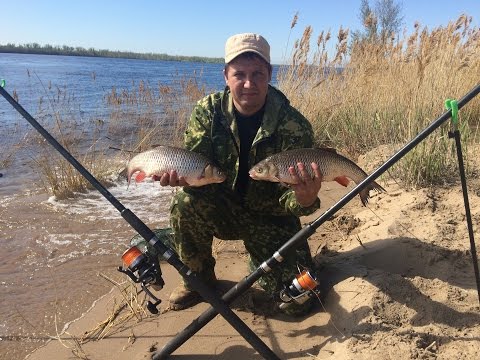 ловля фидером на печень