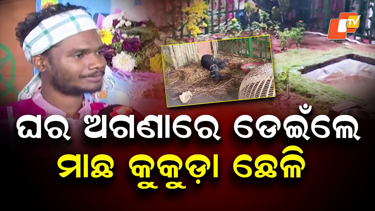 Santal Tribal House Display from Mayurbhanj Amazes Visitors at Adivasi Mela in Bhubaneswar