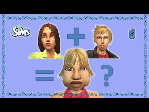 Video: Sådan Lapper Du Sims 2