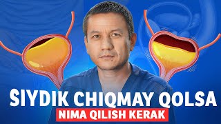 Siydik Chiqmay Qolsa Buyrak Ishdan Chiqadi