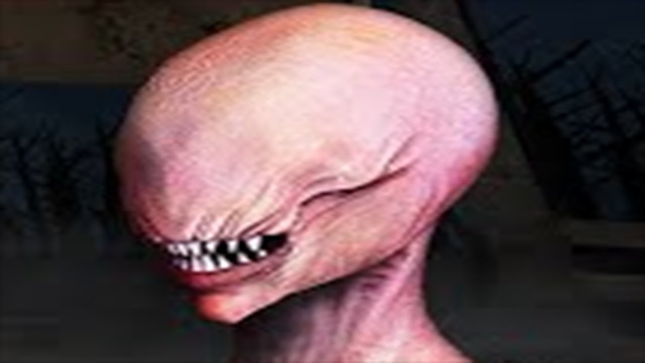 The curse of evil Emily: Adventure Horror Game - NEW HORROR GAME - Android And IOS