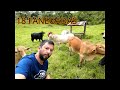 🔴 VENDIDO FINCA EN VENTA EN SAN FRANCISCO CUNDINAMARCA 18 FANEGADAS. 1.100 MILLONES