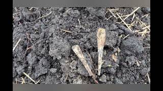 Bzyku z rzymkiem a ja ze sreberkiem i medalem💪💪 