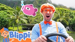 blippi goes fishing in hawaii educational videos for toddlers