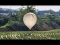 Corea del Nord invia palloncini carichi di feci alla Corea del Sud