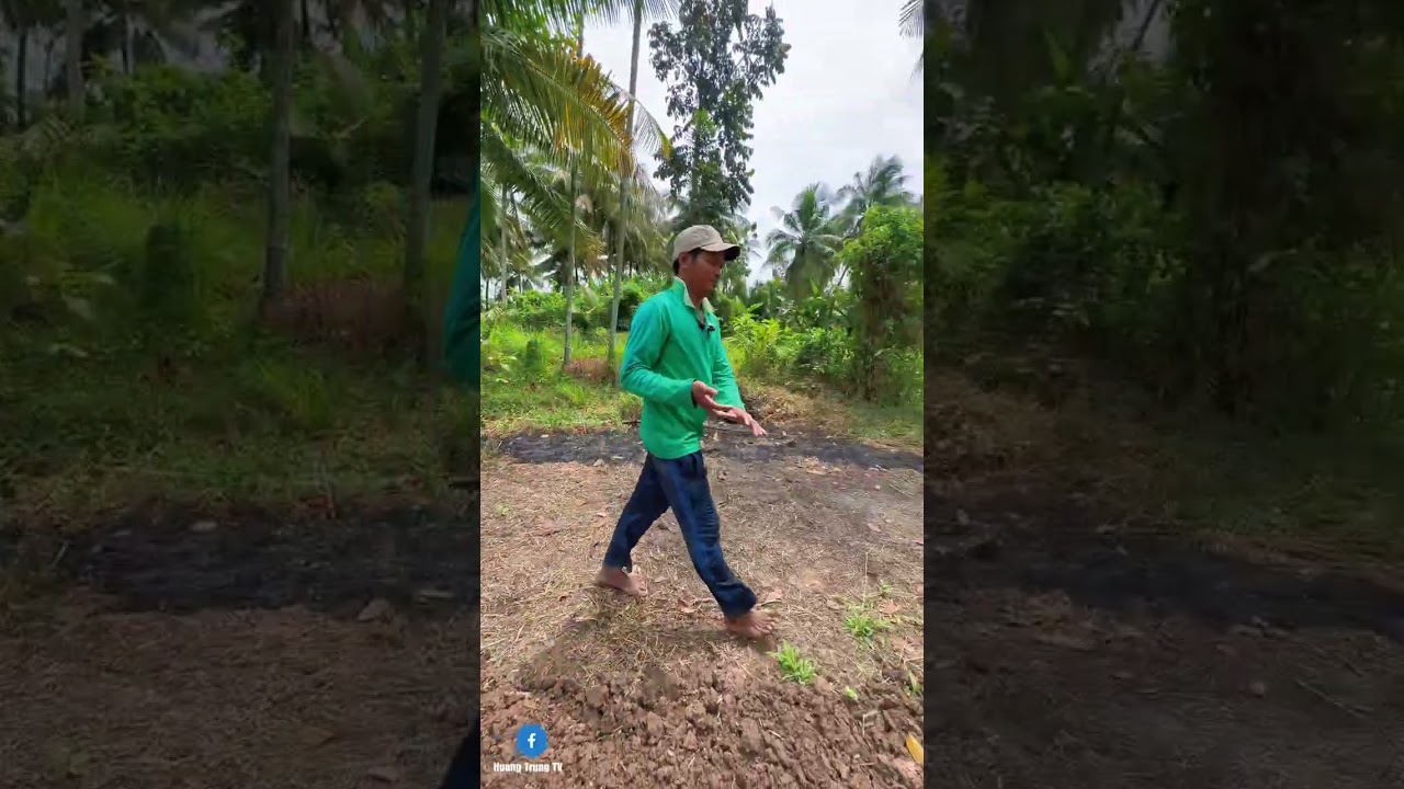 Sang miệt mài với nương rẫy những hạt giống bắt đầu nảy mầm.!#U21 