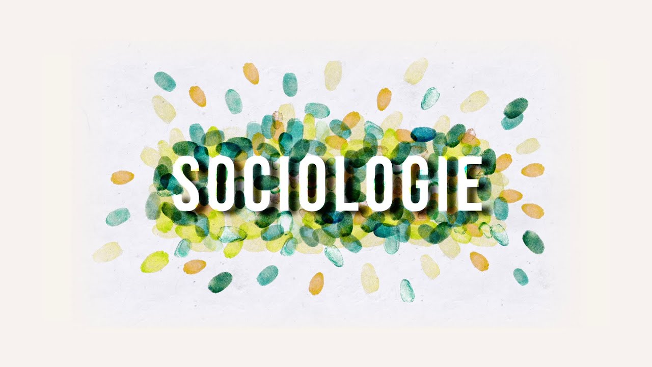 La Licence Sociologie