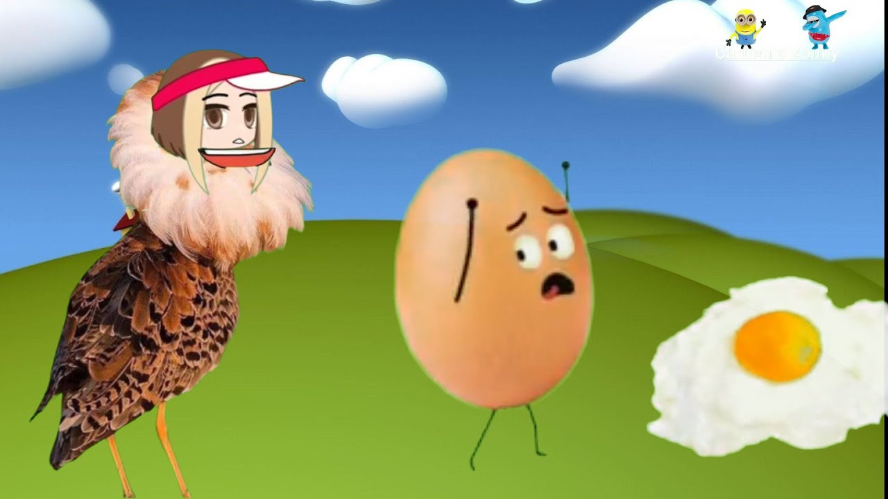 Chicken Laying eggs || cartoon chicken and egg Name| 🍳🐣🥚@cartoonsZonny -  YouTube