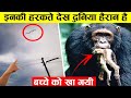 आज तक आपने ऐसा नजारा नहीं देखा होगा 10 strange animals behaviour, monkey,snake