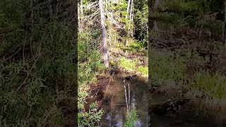 "Тёплый ключ".