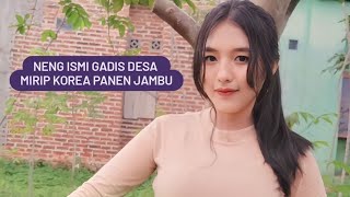 Neng ismi gadis desa mirip korea yang cantik dan sederhana, sedang panen jambu dikebun