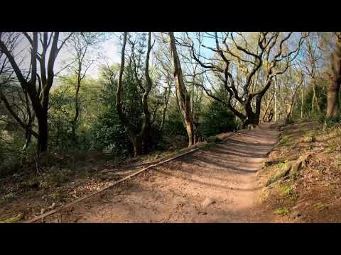 Frodsham and Helsby hills with Iain