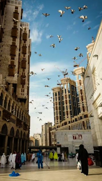 ARAB #beautiful #nature #ikanhiaskoki #suaraadzanmerdu