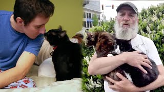 A homeless guy saved a cat and returned it to the owner The fate generously thanked him for this act