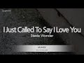 Stevie Wonder-I Just Called To Say I Love You (Karaoke Version)