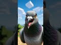 IShowSpeed vs Government Pigeon #ishowspeed #shorts
