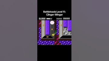 Battletoads Level 11: Clinger-Winger #game #retrogaming #battletoads #clingerwinger
