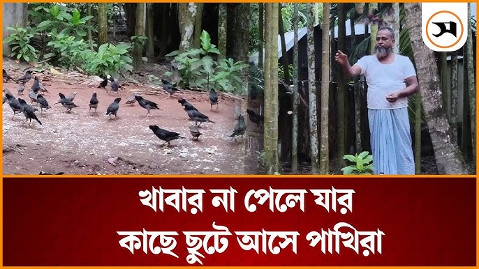 Xojayin va qulning erotik fotosurati Sohildagi jinsiy aloqa videosini tomosha qiling