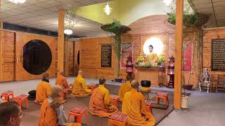 Nghi Thức NIKAYA - Đảnh Lễ Pháp Bảo 54 & Thiền Quán Đời Sống Như Con Bò Đưa Đến Lò Sát Sanh *